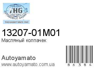 13207-01M01 (TONG HONG)